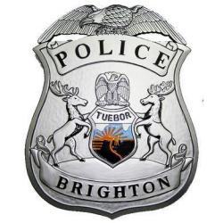 Police Brighton Badge Plaque